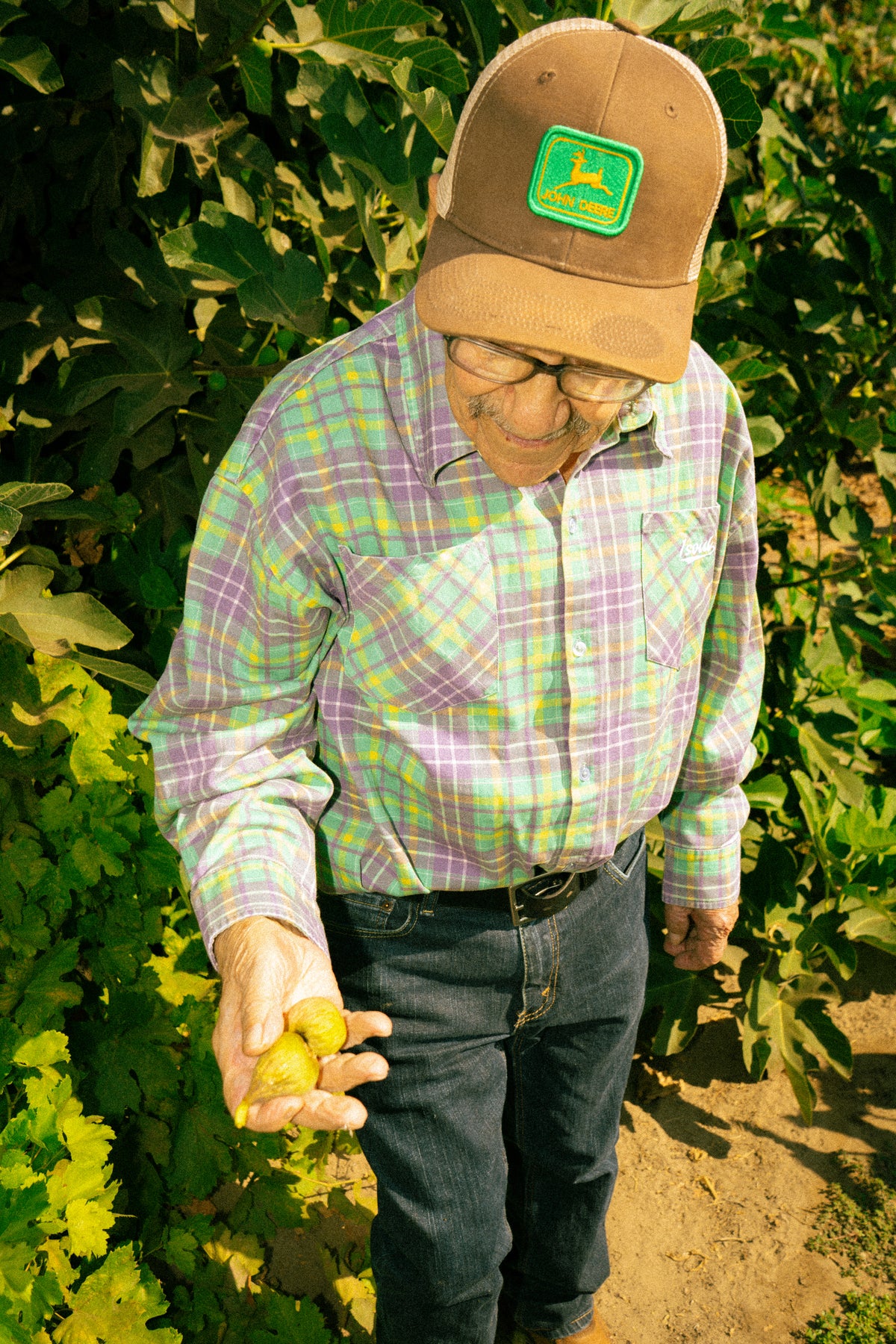 THE "VOVO" FLANNEL